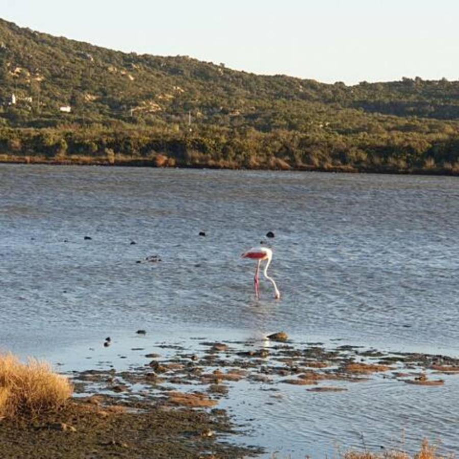 Appartamento Vasiliki Porto San Paolo  Luaran gambar