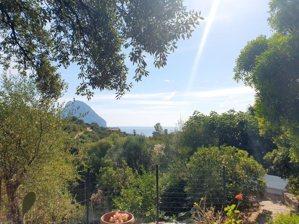 Appartamento Vasiliki Porto San Paolo  Luaran gambar